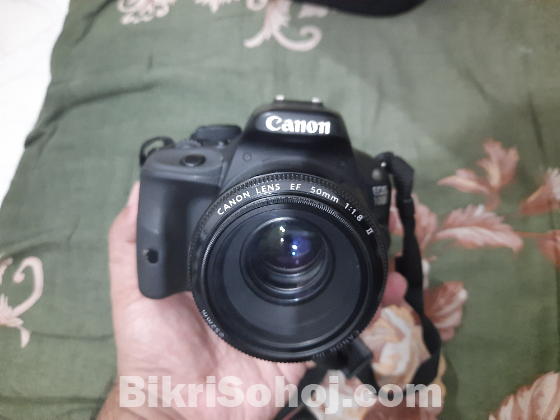 Canon 100D Camera with Prime Lense